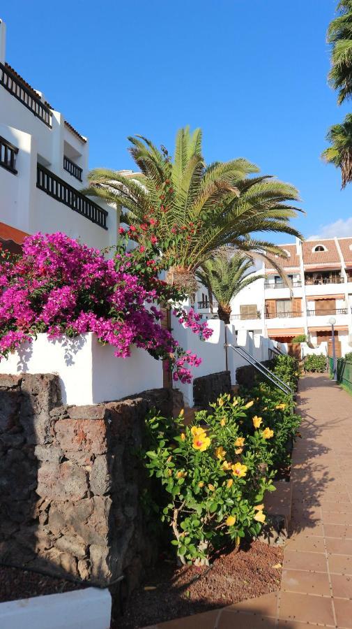 Apartamento En Tenerife Sur, Parque Santiago 2 Arona  Extérieur photo