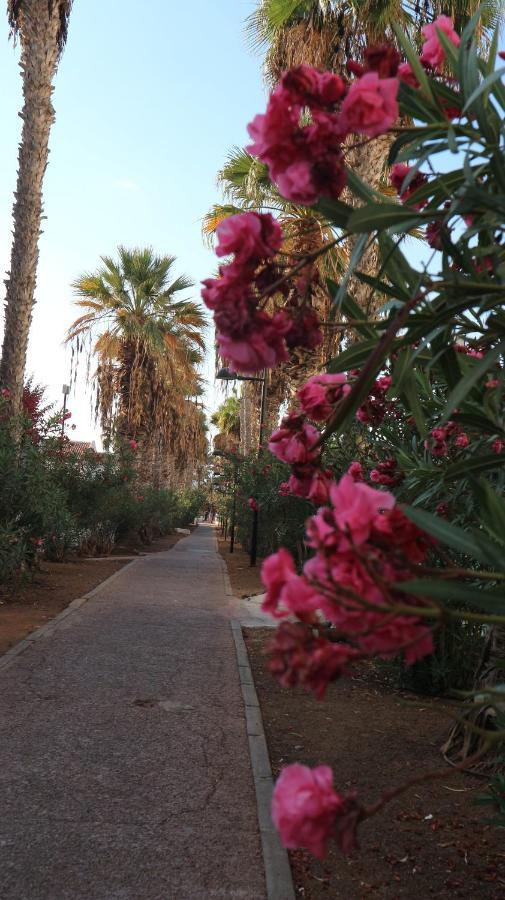 Apartamento En Tenerife Sur, Parque Santiago 2 Arona  Extérieur photo